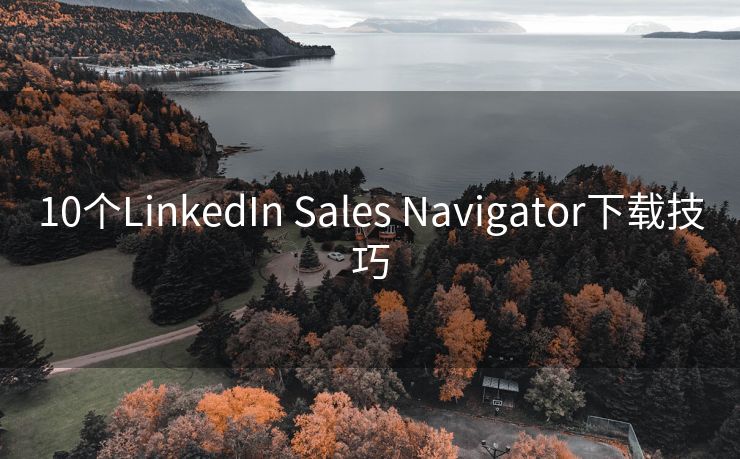 10个LinkedIn Sales Navigator下载技巧