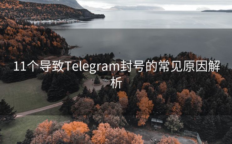 11个导致Telegram封号的常见原因解析