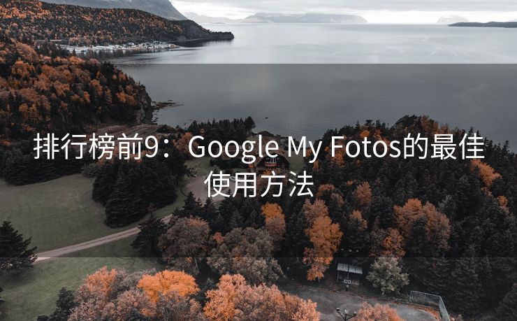 排行榜前9：Google My Fotos的最佳使用方法