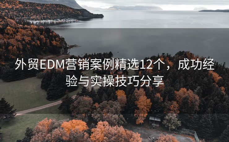 外贸EDM营销案例精选12个，成功经验与实操技巧分享