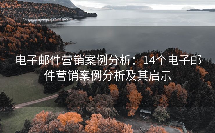 电子邮件营销案例分析：14个电子邮件营销案例分析及其启示