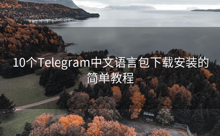 10个Telegram中文语言包下载安装的简单教程