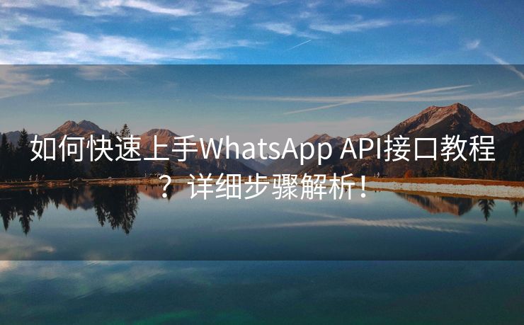 如何快速上手WhatsApp API接口教程？详细步骤解析！