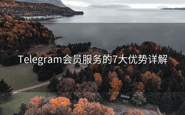 Telegram会员服务的7大优势详解