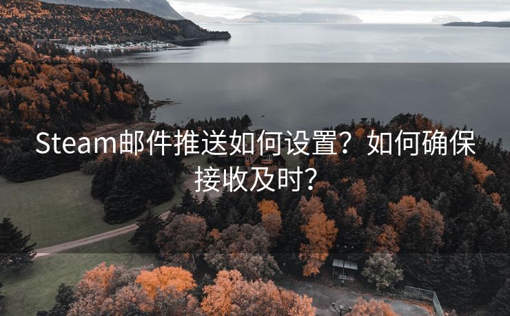 Steam邮件推送如何设置？如何确保接收及时？