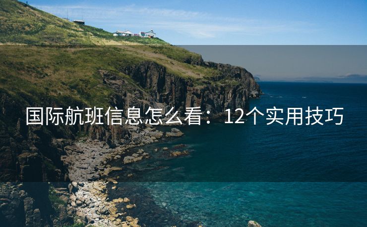 国际航班信息怎么看：12个实用技巧