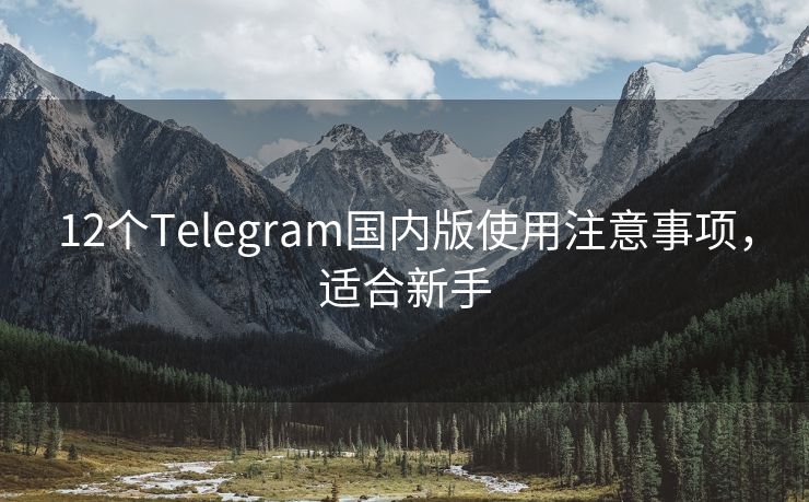 12个Telegram国内版使用注意事项，适合新手