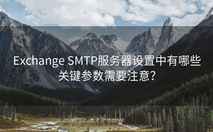 Exchange SMTP服务器设置中有哪些关键参数需要注意？