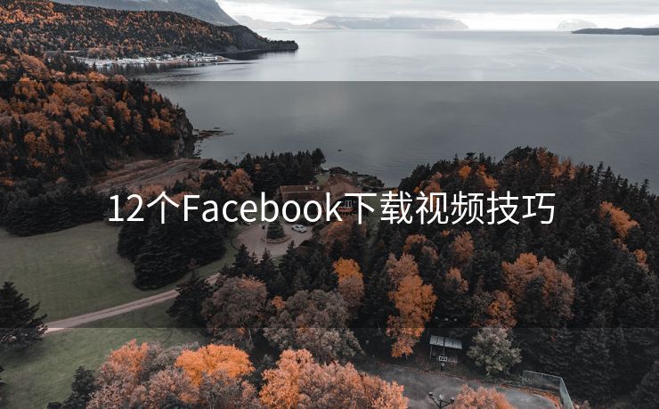 12个Facebook下载视频技巧