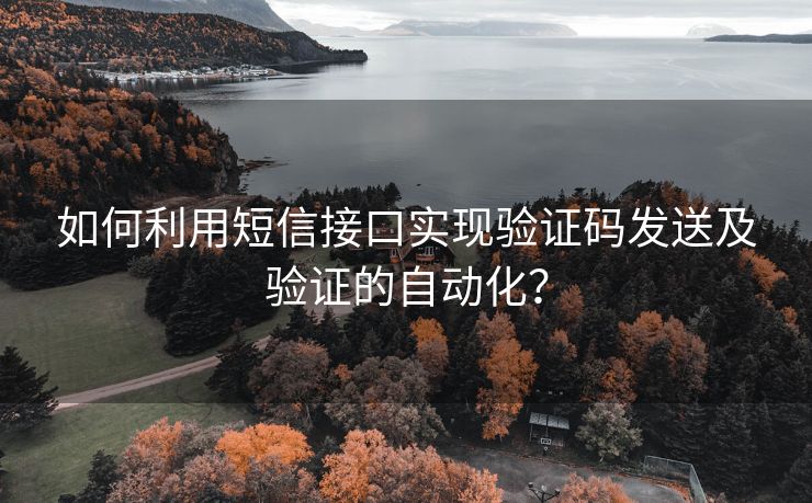 如何利用短信接口实现验证码发送及验证的自动化？