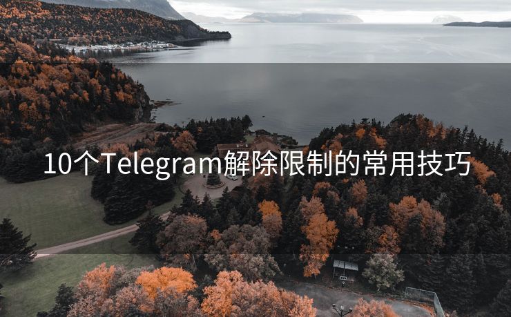 10个Telegram解除限制的常用技巧