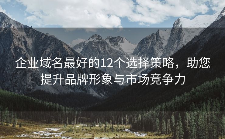 企业域名最好的12个选择策略，助您提升品牌形象与市场竞争力