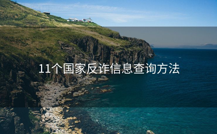 11个国家反诈信息查询方法