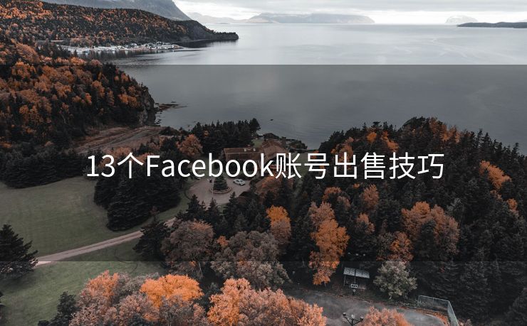 13个Facebook账号出售技巧