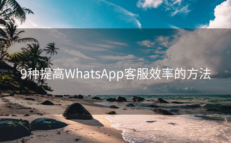 9种提高WhatsApp客服效率的方法