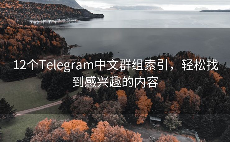 12个Telegram中文群组索引，轻松找到感兴趣的内容