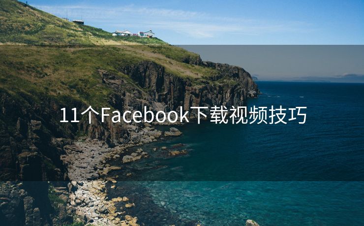 11个Facebook下载视频技巧