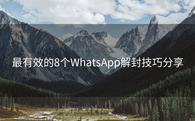 最有效的8个WhatsApp解封技巧分享