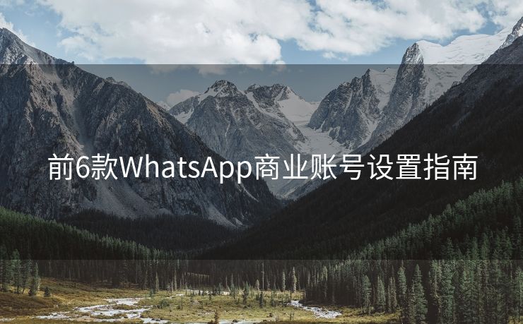 前6款WhatsApp商业账号设置指南