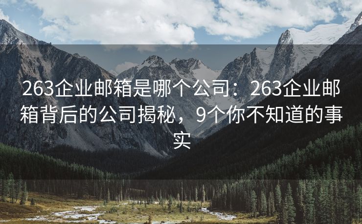 263企业邮箱是哪个公司：263企业邮箱背后的公司揭秘，9个你不知道的事实