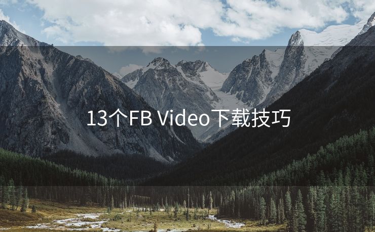 13个FB Video下载技巧