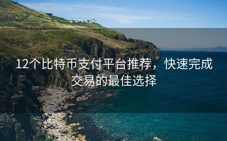 12个比特币支付平台推荐，快速完成交易的最佳选择