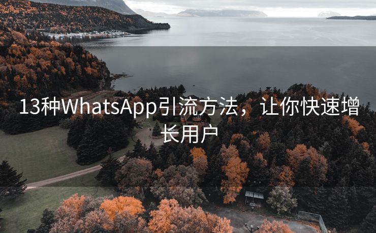 13种WhatsApp引流方法，让你快速增长用户