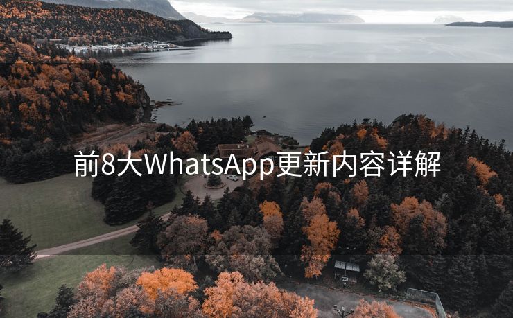 前8大WhatsApp更新内容详解