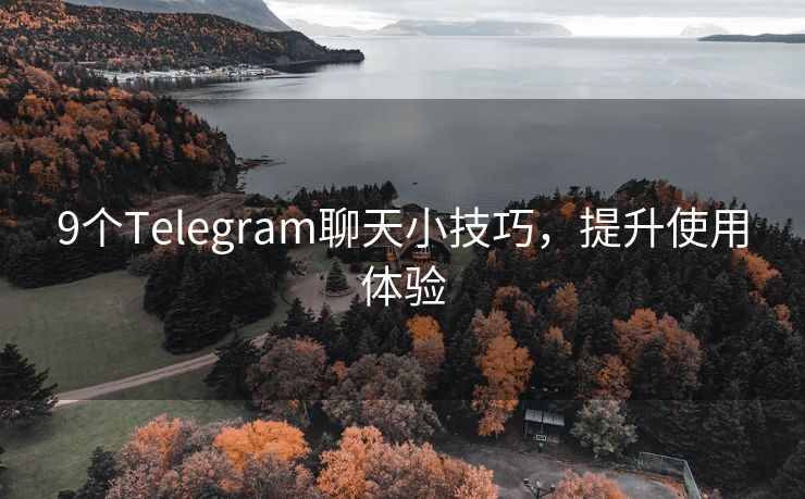 9个Telegram聊天小技巧，提升使用体验