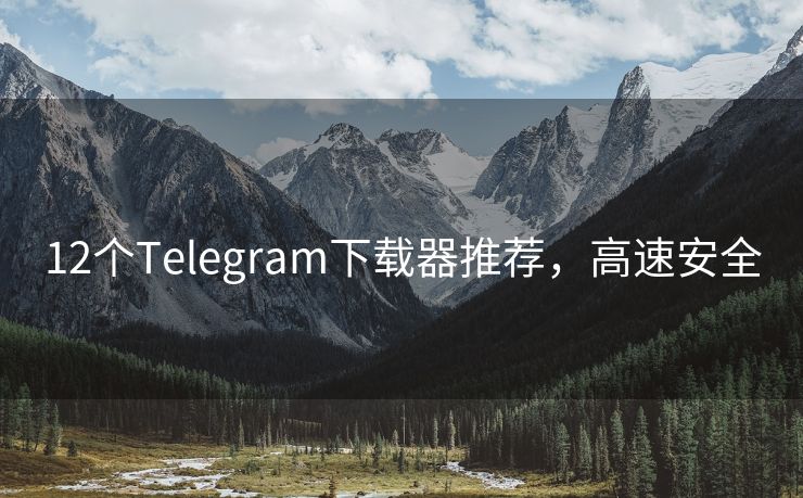 12个Telegram下载器推荐，高速安全