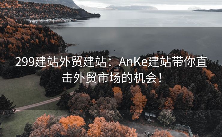 299建站外贸建站：AnKe建站带你直击外贸市场的机会！