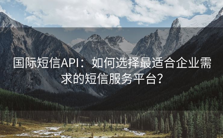 国际短信API：如何选择最适合企业需求的短信服务平台？