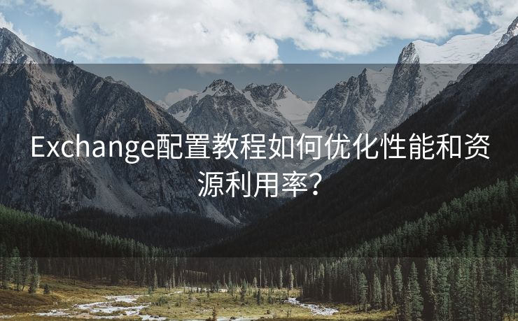 Exchange配置教程如何优化性能和资源利用率？