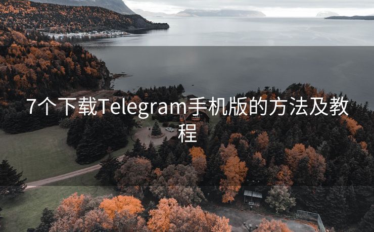 7个下载Telegram手机版的方法及教程