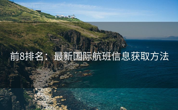 前8排名：最新国际航班信息获取方法