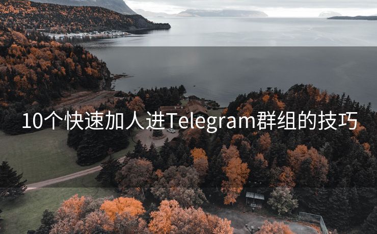 10个快速加人进Telegram群组的技巧