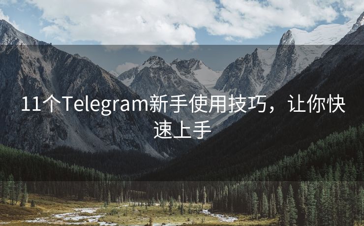 11个Telegram新手使用技巧，让你快速上手